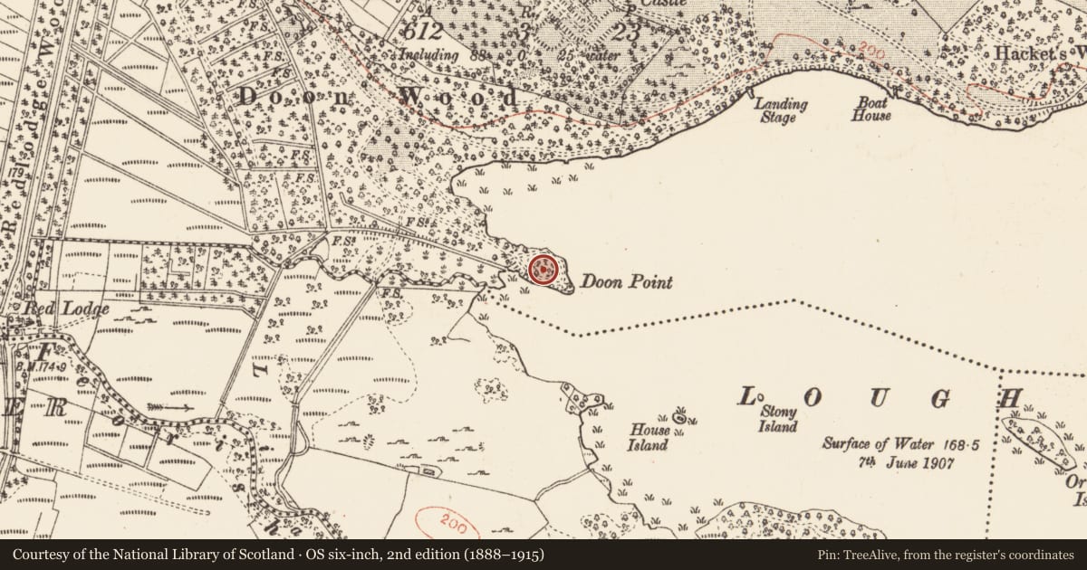 Ordnance Survey six-inch map, 2nd edition (1888–1915) covering the location of Promontory fort - inland, Castletenison Demesne, County Roscommon, with a pin at the register's coordinates