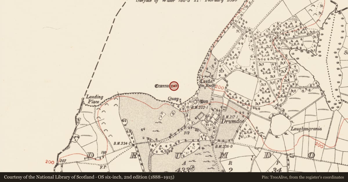 Ordnance Survey six-inch map, 2nd edition (1888–1915) covering the location of Crannog, Lough Arrow, County Roscommon, with a pin at the register's coordinates