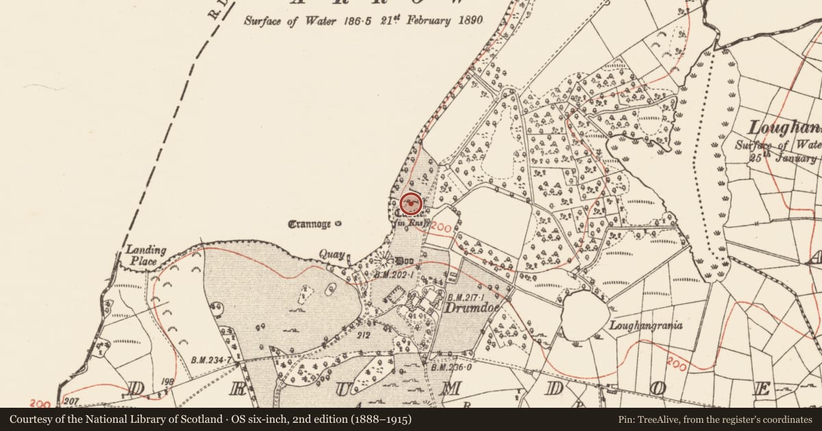 Ordnance Survey six-inch map, 2nd edition (1888–1915) covering the location of House - 16th/17th century, Drumdoe, County Roscommon, with a pin at the register's coordinates