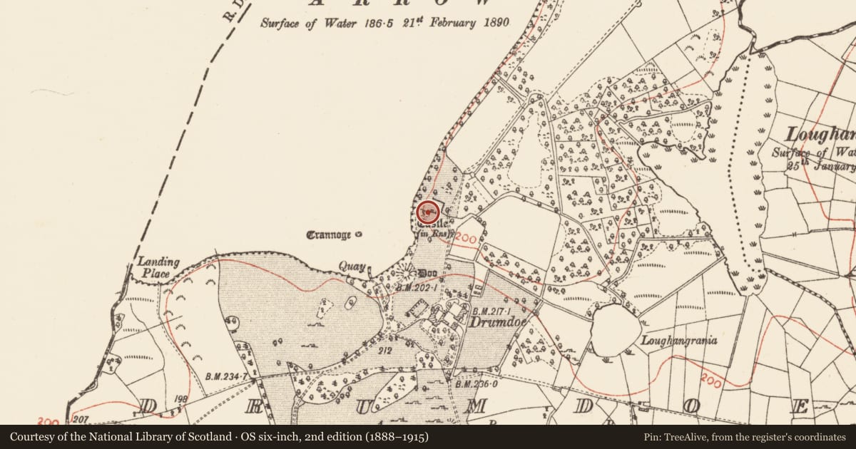 Ordnance Survey six-inch map, 2nd edition (1888–1915) covering the location of Gatehouse, Drumdoe, County Roscommon, with a pin at the register's coordinates