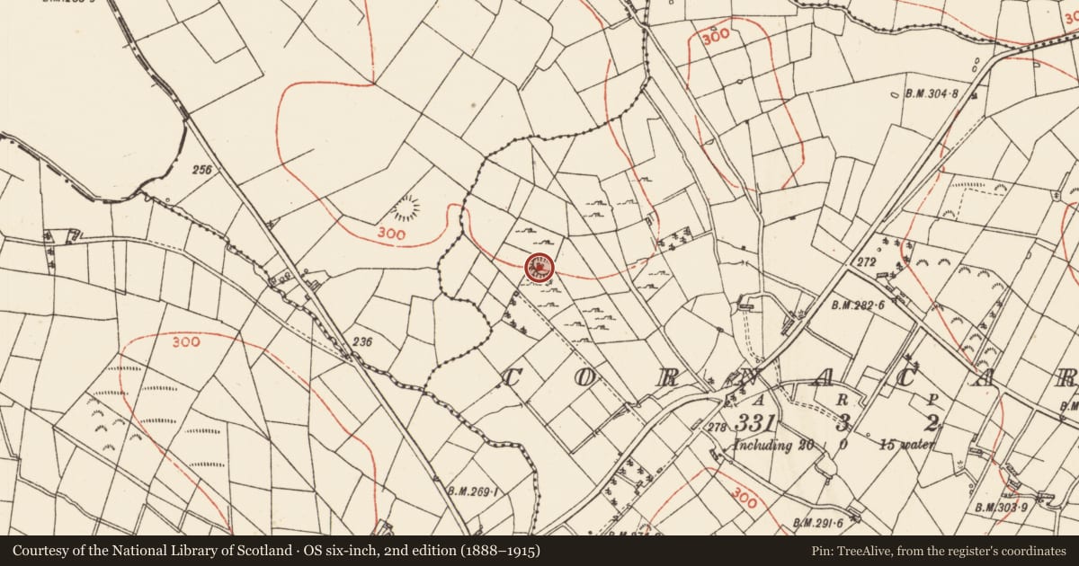 Ordnance Survey six-inch map, 2nd edition (1888–1915) covering the location of Ringfort - cashel, Cornacarta, County Roscommon, with a pin at the register's coordinates