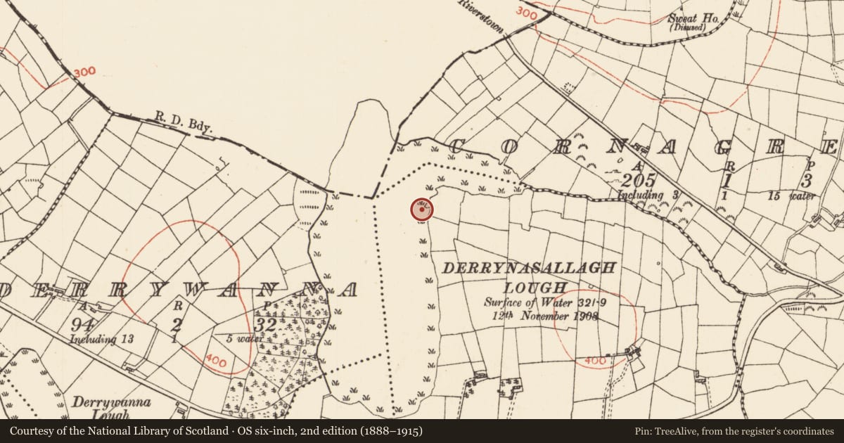 Ordnance Survey six-inch map, 2nd edition (1888–1915) covering the location of Crannog, Derrycashel, County Roscommon, with a pin at the register's coordinates