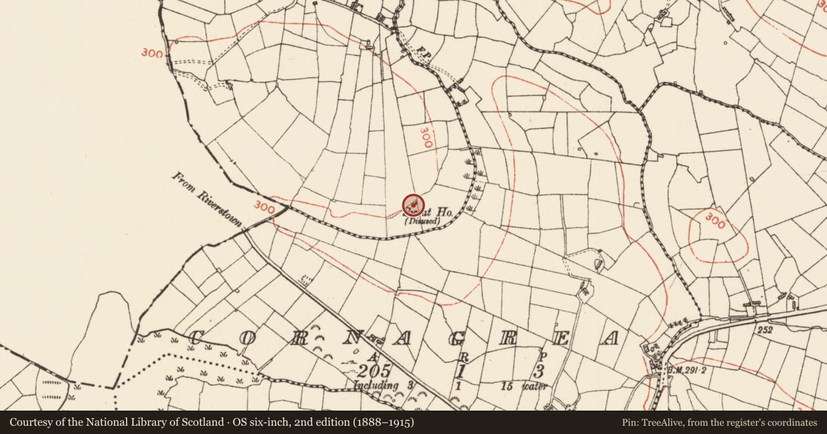 Ordnance Survey six-inch map, 2nd edition (1888–1915) covering the location of Sweathouse, Cuiltaboolia, County Roscommon, with a pin at the register's coordinates