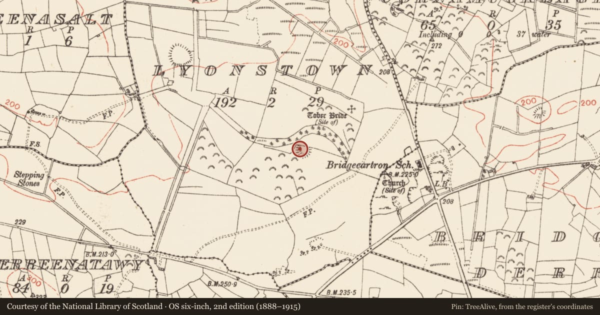 Ordnance Survey six-inch map, 2nd edition (1888–1915) covering the location of Ringfort - rath, Lyonstown, County Roscommon, with a pin at the register's coordinates