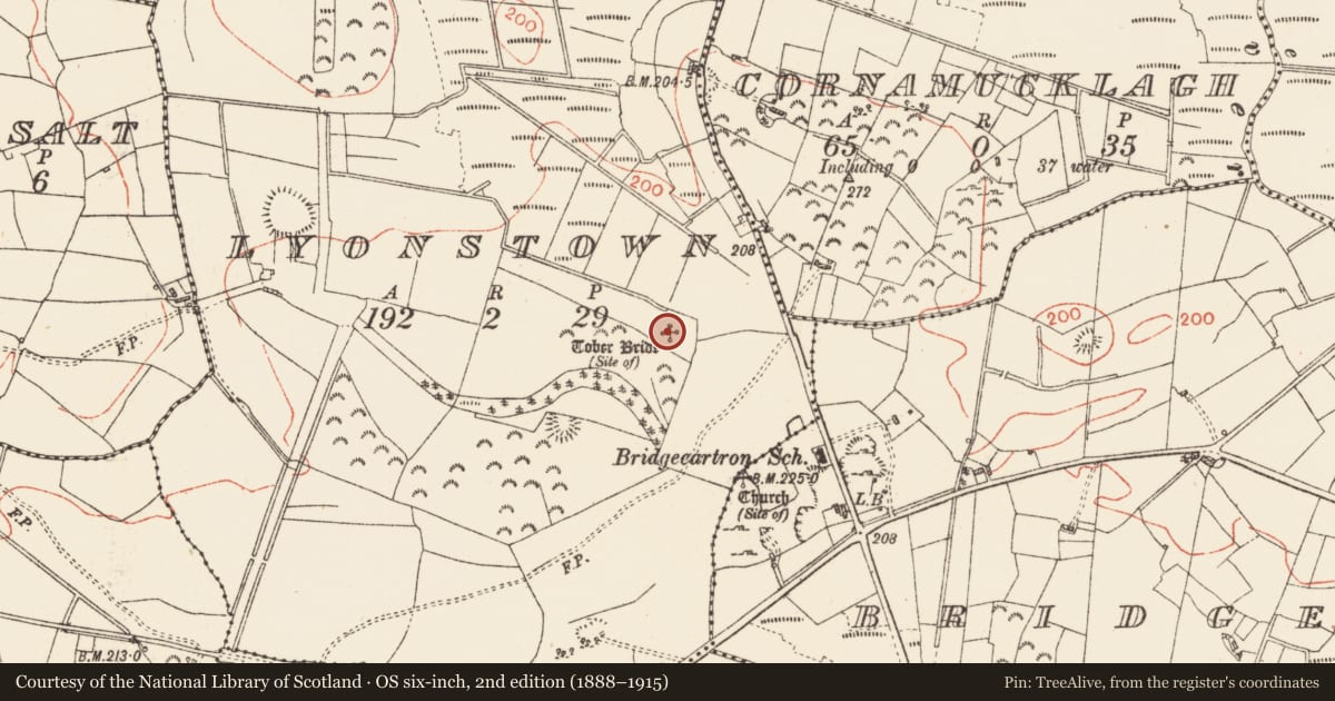 Ordnance Survey six-inch map, 2nd edition (1888–1915) covering the location of Ritual site - holy well, Lyonstown, County Roscommon, with a pin at the register's coordinates