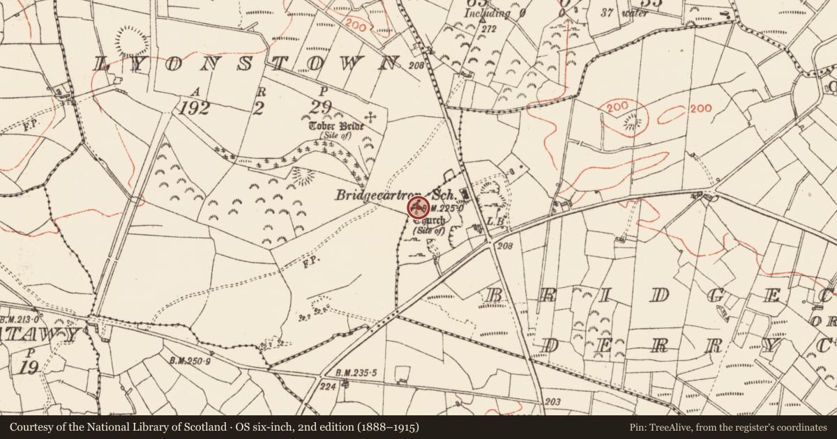 Ordnance Survey six-inch map, 2nd edition (1888–1915) covering the location of Ecclesiastical enclosure, Bridgecartron Or Derrycashel, Lyonstown, County Roscommon, with a pin at the register's coordinates