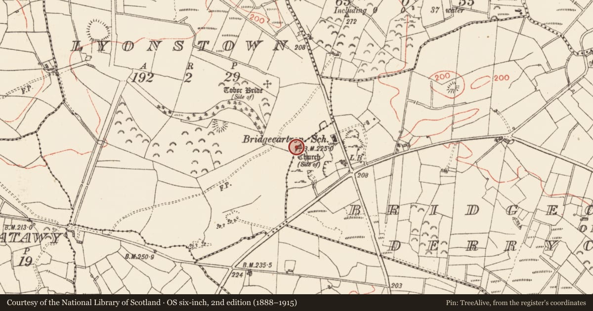 Ordnance Survey six-inch map, 2nd edition (1888–1915) covering the location of Cross-inscribed stone, Bridgecartron Or Derrycashel, County Roscommon, with a pin at the register's coordinates