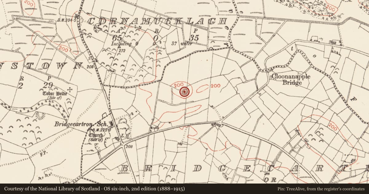 Ordnance Survey six-inch map, 2nd edition (1888–1915) covering the location of Ringfort - rath, Bridgecartron Or Derrycashel, County Roscommon, with a pin at the register's coordinates