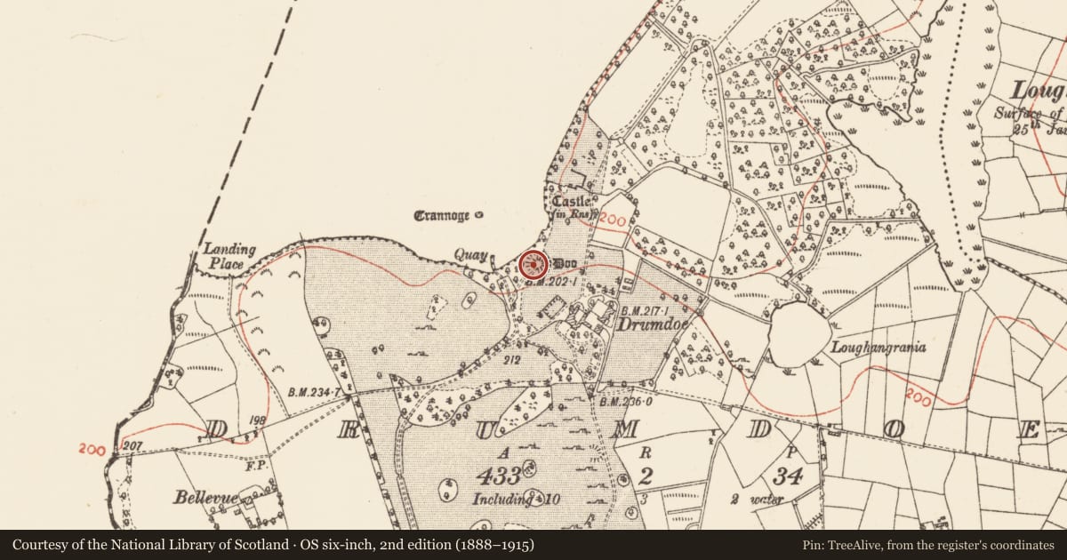 Ordnance Survey six-inch map, 2nd edition (1888–1915) covering the location of Castle - motte, Drumdoe, County Roscommon, with a pin at the register's coordinates