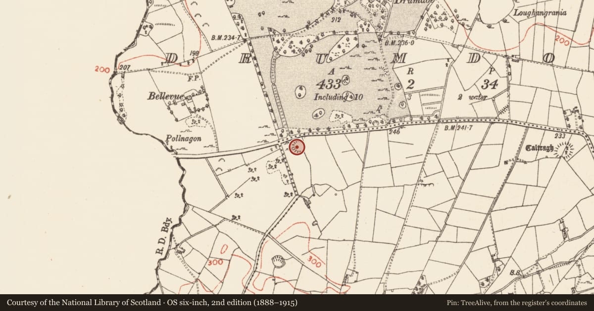 Ordnance Survey six-inch map, 2nd edition (1888–1915) covering the location of Ringfort - rath, Tintagh, County Roscommon, with a pin at the register's coordinates