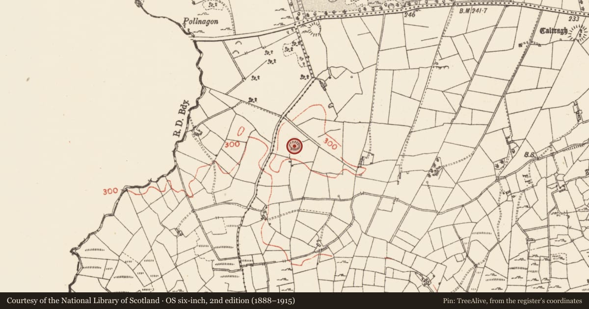 Ordnance Survey six-inch map, 2nd edition (1888–1915) covering the location of House - indeterminate date, Tintagh, County Roscommon, with a pin at the register's coordinates