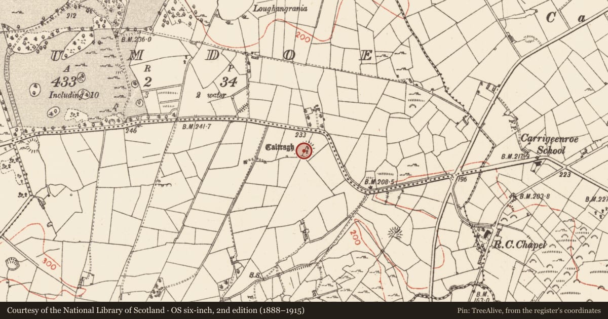 Ordnance Survey six-inch map, 2nd edition (1888–1915) covering the location of Ringfort - rath, Tintagh, County Roscommon, with a pin at the register's coordinates