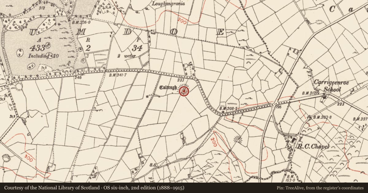 Ordnance Survey six-inch map, 2nd edition (1888–1915) covering the location of Children's burial ground, Tintagh, County Roscommon, with a pin at the register's coordinates