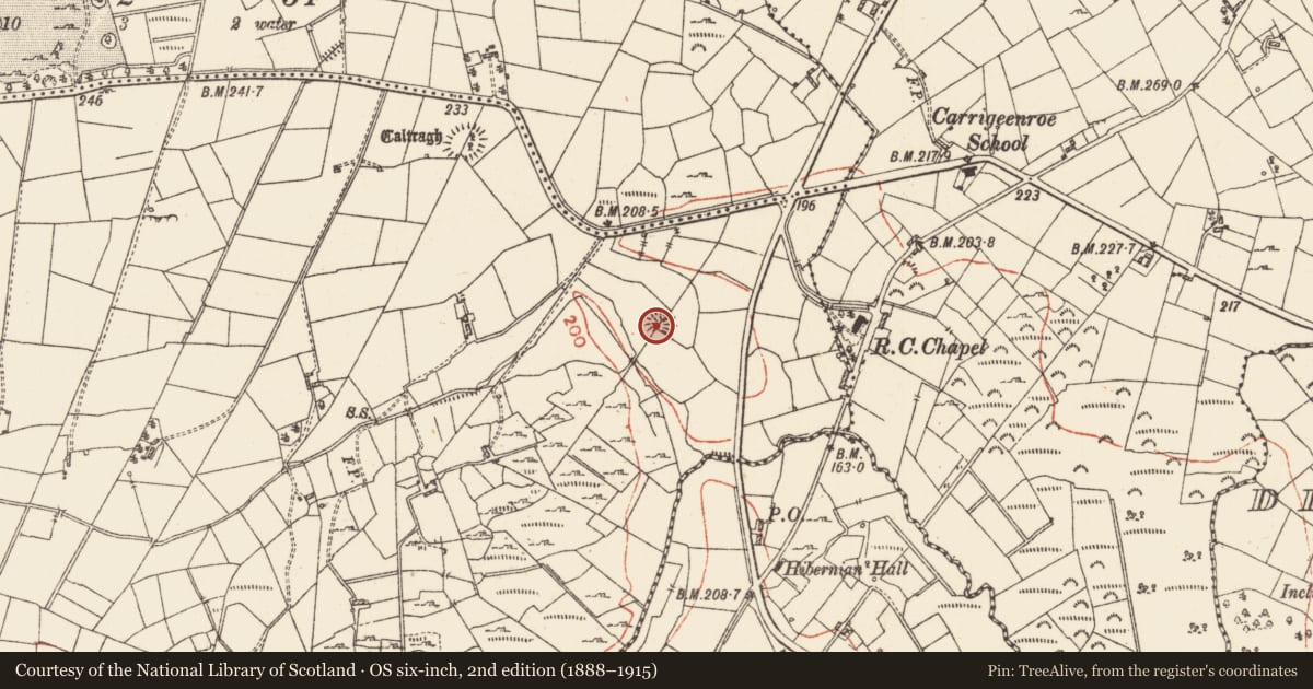 Ordnance Survey six-inch map, 2nd edition (1888–1915) covering the location of Ringfort - rath, Tintagh, County Roscommon, with a pin at the register's coordinates