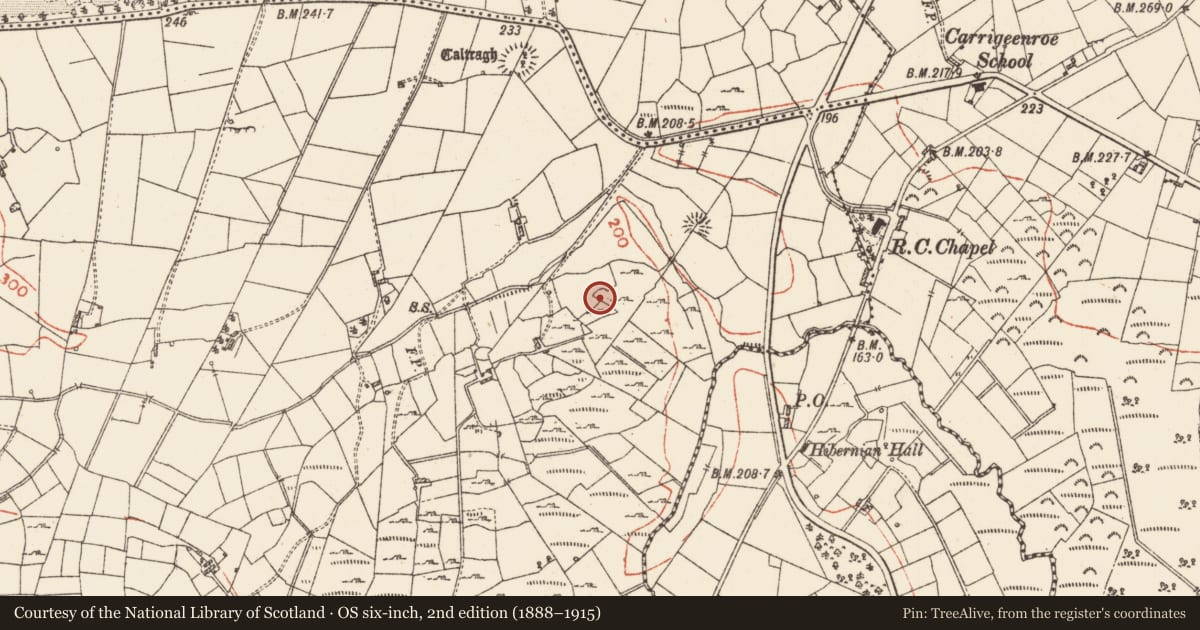Ordnance Survey six-inch map, 2nd edition (1888–1915) covering the location of Ringfort - cashel, Tintagh, County Roscommon, with a pin at the register's coordinates