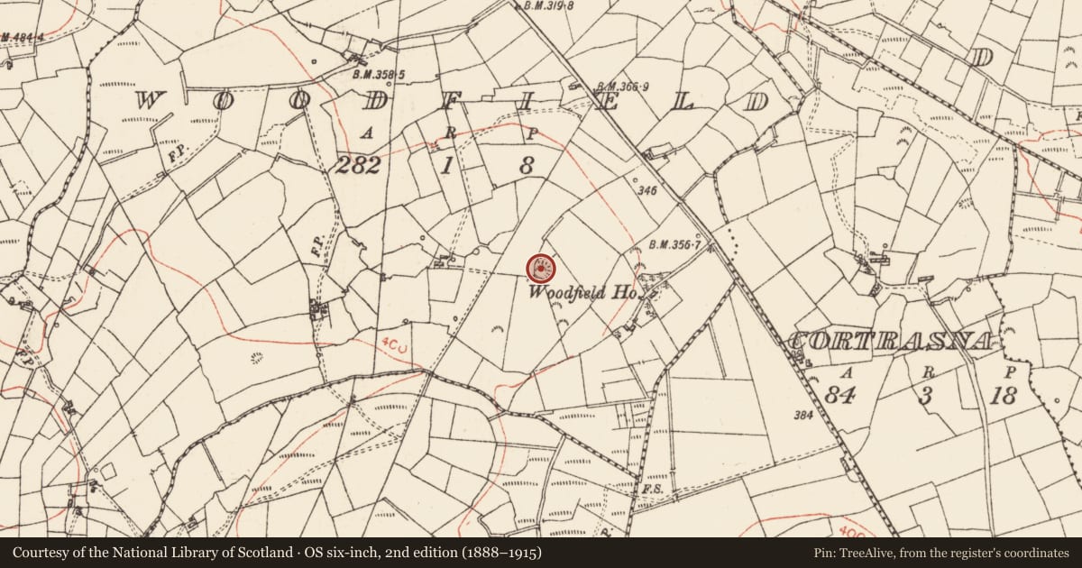 Ordnance Survey six-inch map, 2nd edition (1888–1915) covering the location of Ringfort - rath, Woodfield, County Roscommon, with a pin at the register's coordinates