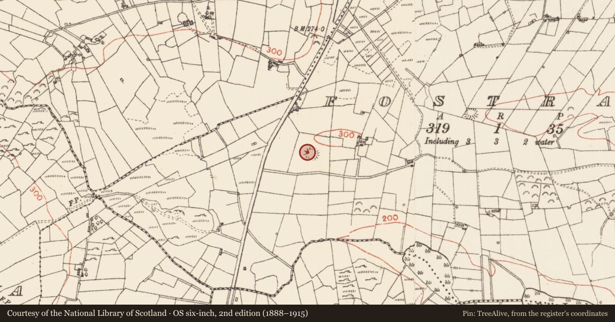 Ordnance Survey six-inch map, 2nd edition (1888–1915) covering the location of Ringfort - cashel, Fostragh, County Roscommon, with a pin at the register's coordinates