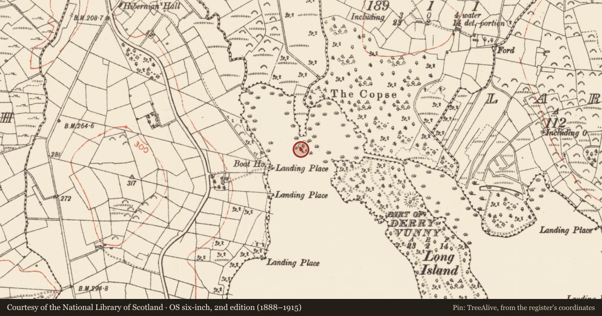 Ordnance Survey six-inch map, 2nd edition (1888–1915) covering the location of Crannog, Lough Key, County Roscommon, with a pin at the register's coordinates