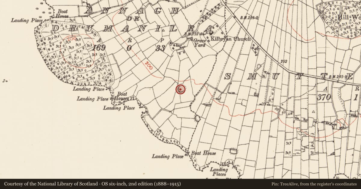 Ordnance Survey six-inch map, 2nd edition (1888–1915) covering the location of Ringfort - cashel, Annagh Or Drumanilra, County Roscommon, with a pin at the register's coordinates