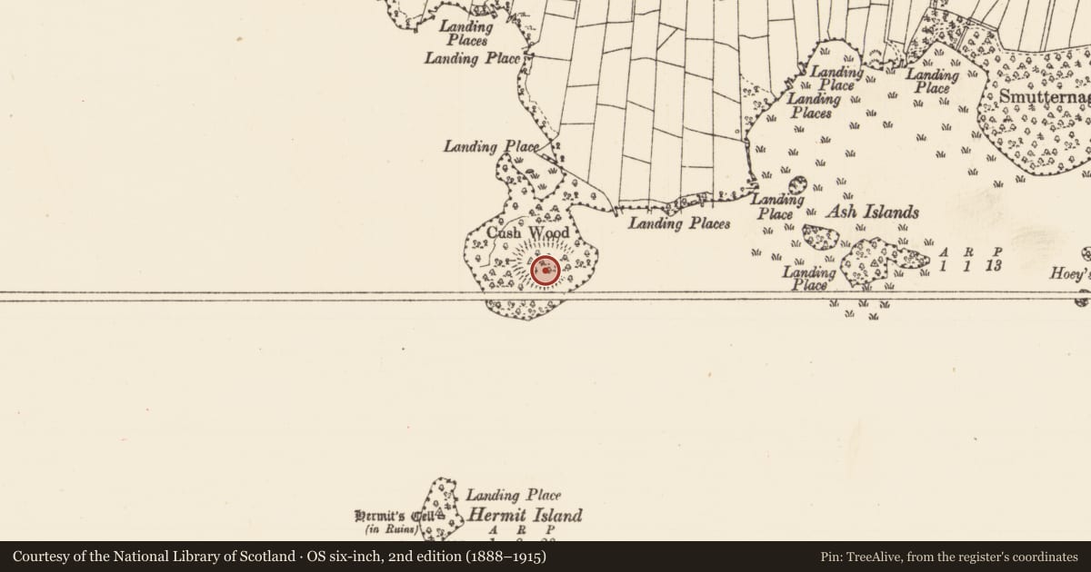 Ordnance Survey six-inch map, 2nd edition (1888–1915) covering the location of Concentric enclosure, Smutternagh, County Roscommon, with a pin at the register's coordinates