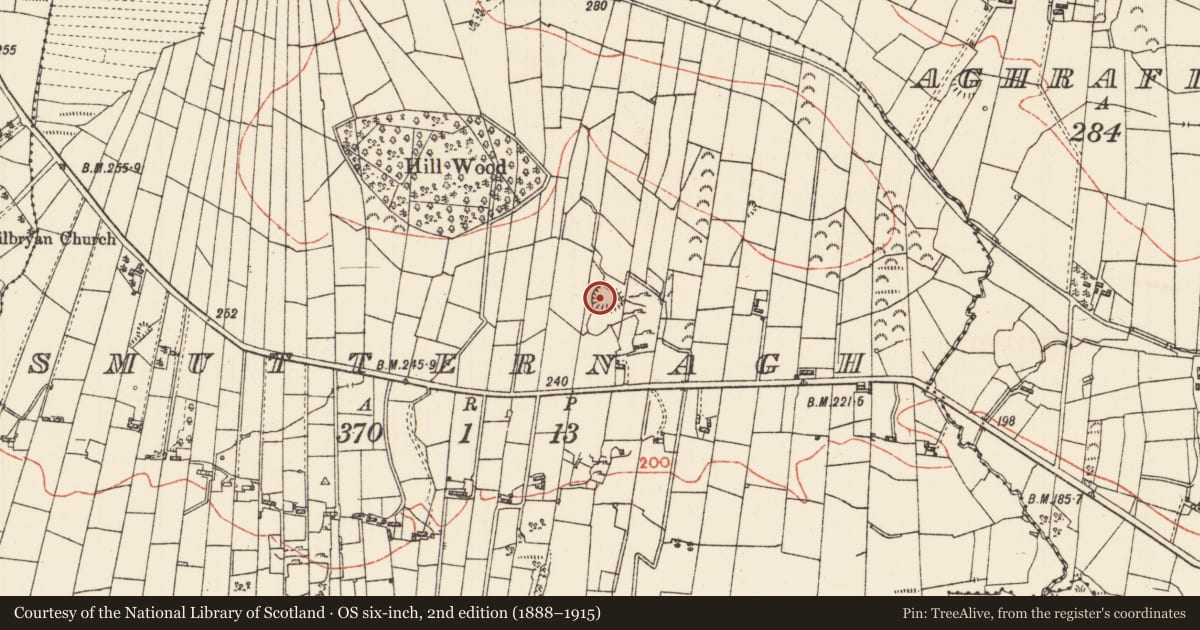 Ordnance Survey six-inch map, 2nd edition (1888–1915) covering the location of Ringfort - cashel, Smutternagh, County Roscommon, with a pin at the register's coordinates