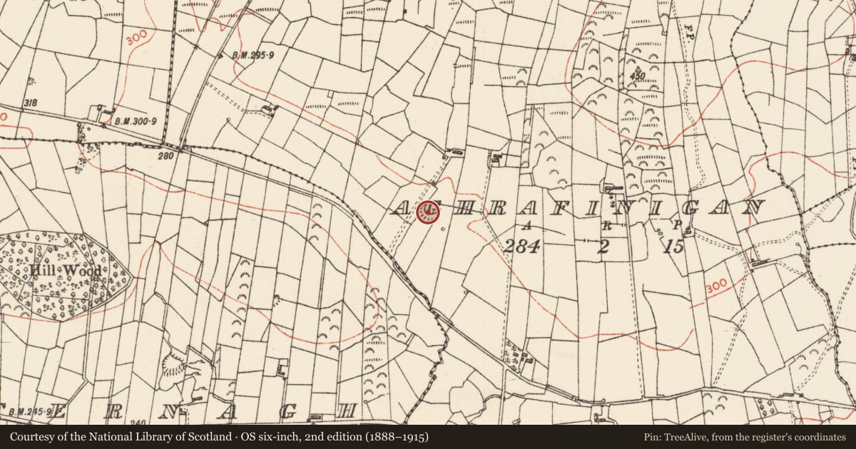 Ordnance Survey six-inch map, 2nd edition (1888–1915) covering the location of Ringfort - rath, Aghrafinigan, County Roscommon, with a pin at the register's coordinates