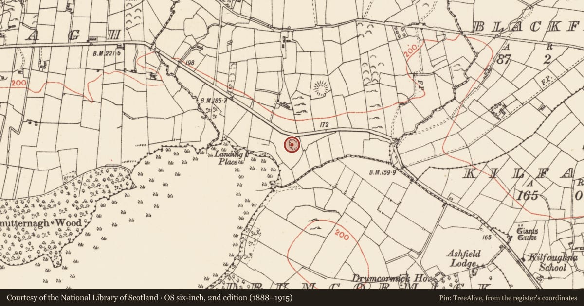Ordnance Survey six-inch map, 2nd edition (1888–1915) covering the location of Ringfort - rath, Aghrafinigan, County Roscommon, with a pin at the register's coordinates