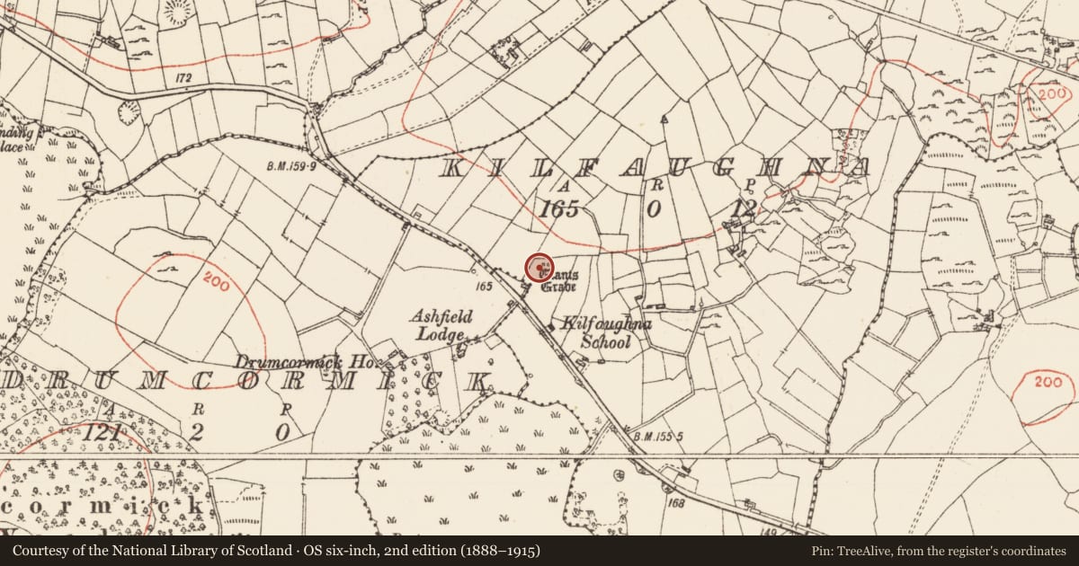 Ordnance Survey six-inch map, 2nd edition (1888–1915) covering the location of Standing stone - pair, Kilfaughna, County Roscommon, with a pin at the register's coordinates
