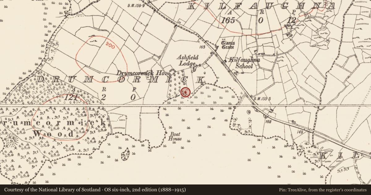 Ordnance Survey six-inch map, 2nd edition (1888–1915) covering the location of Ringfort - cashel, Drumcormick, County Roscommon, with a pin at the register's coordinates