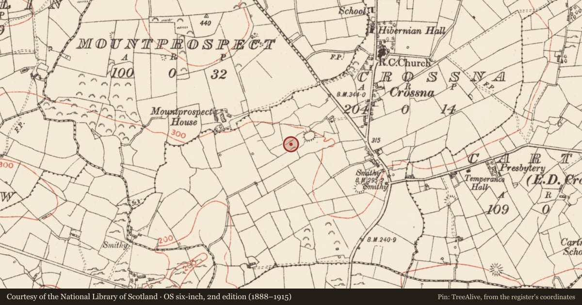 Ordnance Survey six-inch map, 2nd edition (1888–1915) covering the location of Earthwork, Crossna, County Roscommon, with a pin at the register's coordinates
