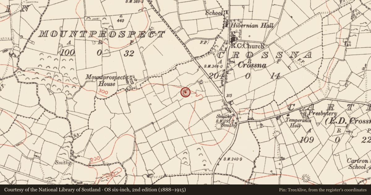 Ordnance Survey six-inch map, 2nd edition (1888–1915) covering the location of Ringfort - cashel, Crossna, County Roscommon, with a pin at the register's coordinates