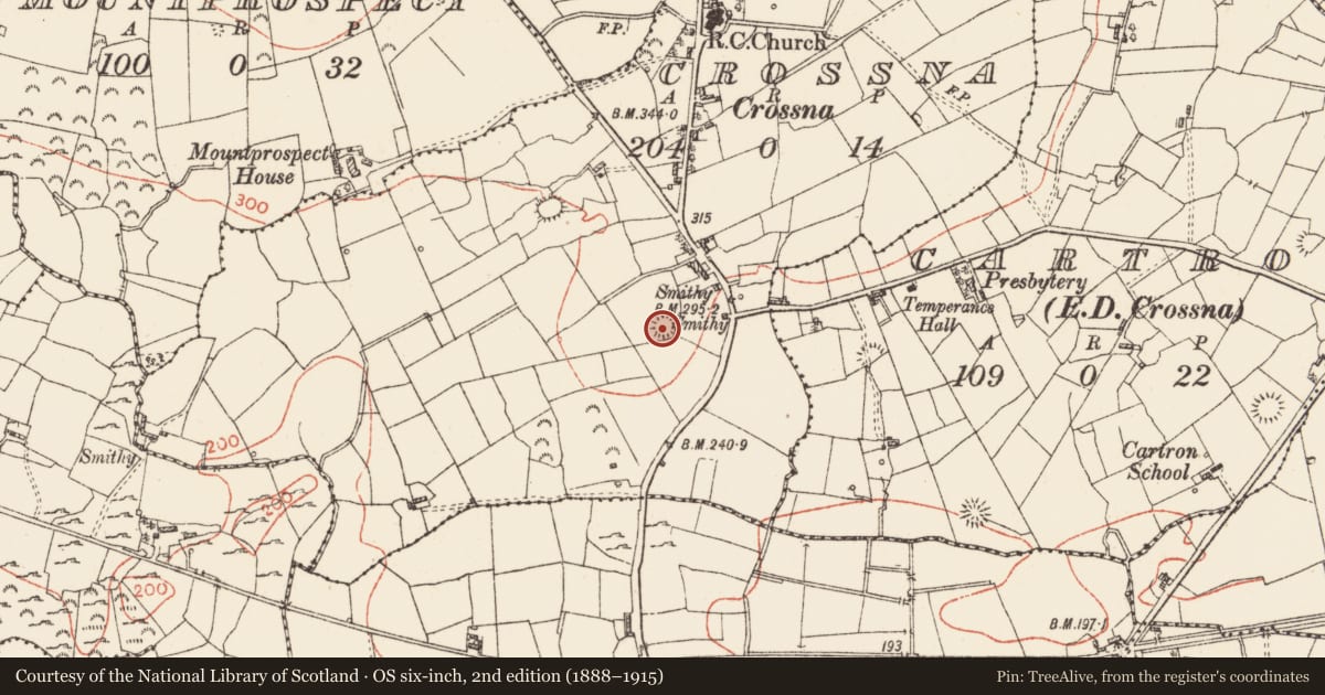 Ordnance Survey six-inch map, 2nd edition (1888–1915) covering the location of Ringfort - rath, Crossna, County Roscommon, with a pin at the register's coordinates