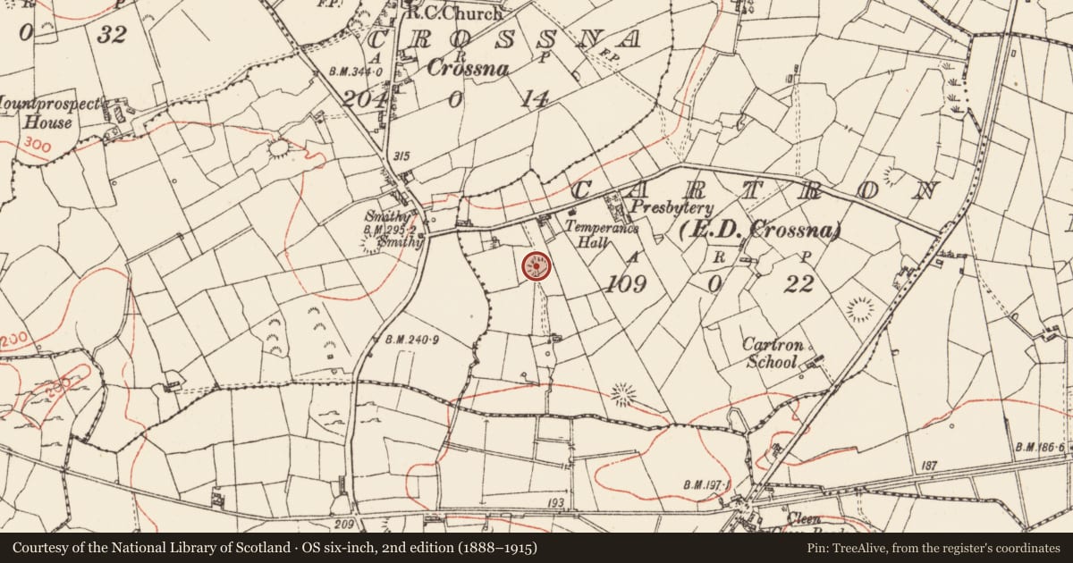 Ordnance Survey six-inch map, 2nd edition (1888–1915) covering the location of Ringfort - rath, Cartron, County Roscommon, with a pin at the register's coordinates