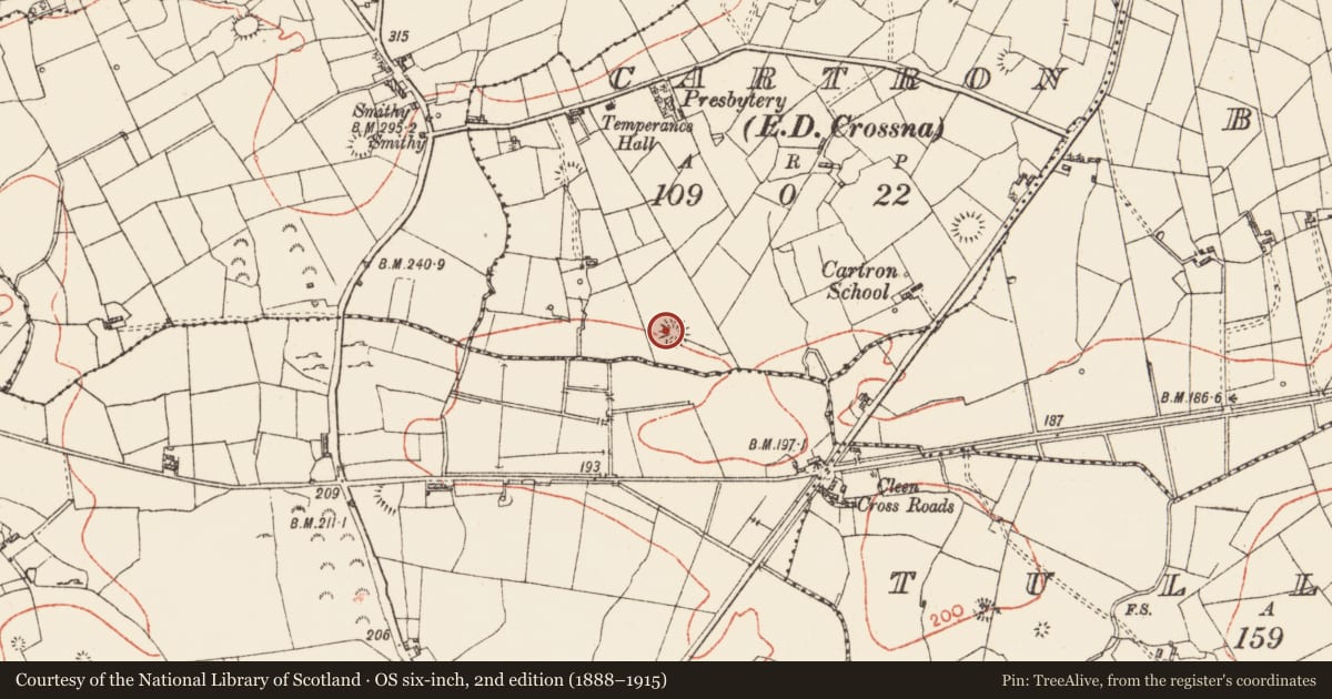 Ordnance Survey six-inch map, 2nd edition (1888–1915) covering the location of Ringfort - cashel, Cartron, County Roscommon, with a pin at the register's coordinates