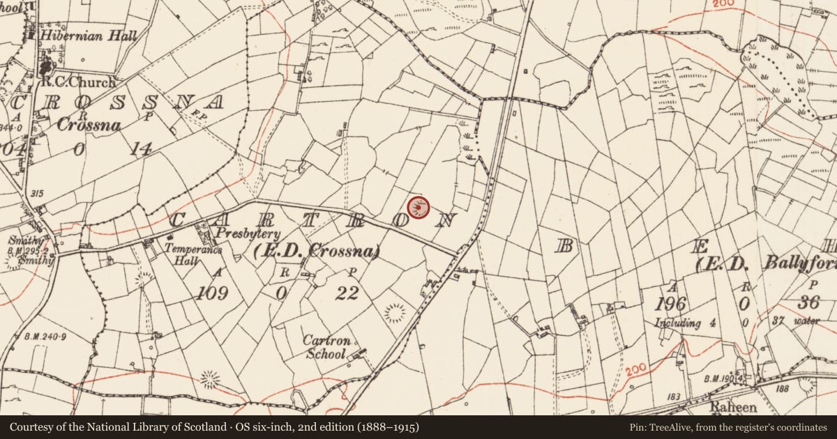 Ordnance Survey six-inch map, 2nd edition (1888–1915) covering the location of Ringfort - cashel, Cartron, County Roscommon, with a pin at the register's coordinates