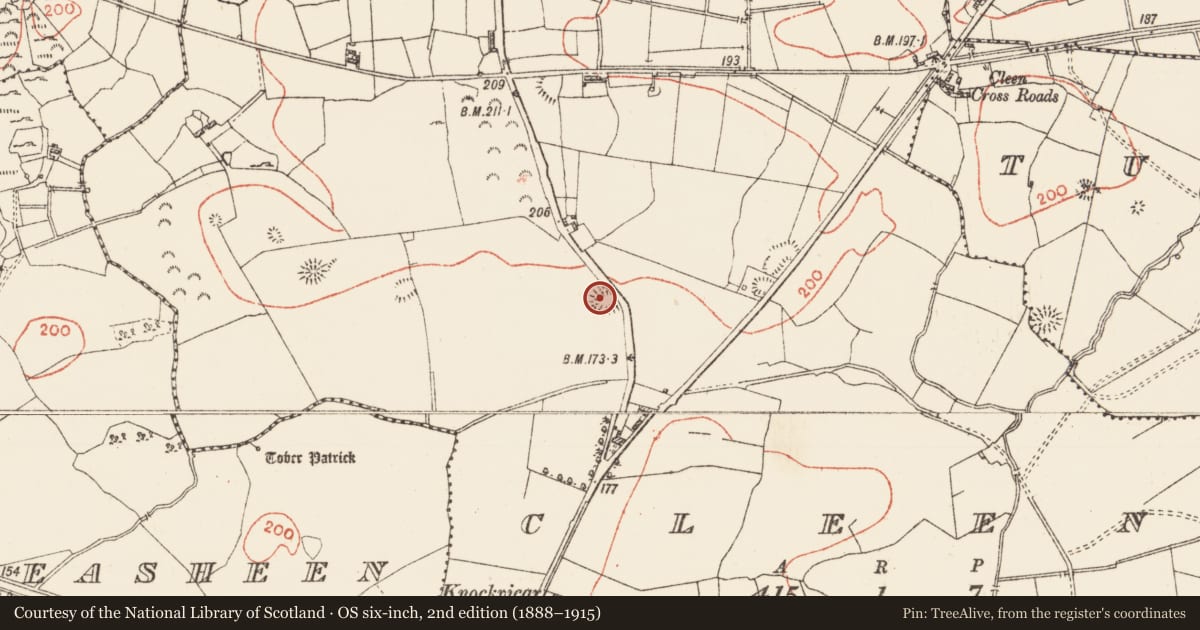 Ordnance Survey six-inch map, 2nd edition (1888–1915) covering the location of Ringfort - cashel, Cleen, County Roscommon, with a pin at the register's coordinates