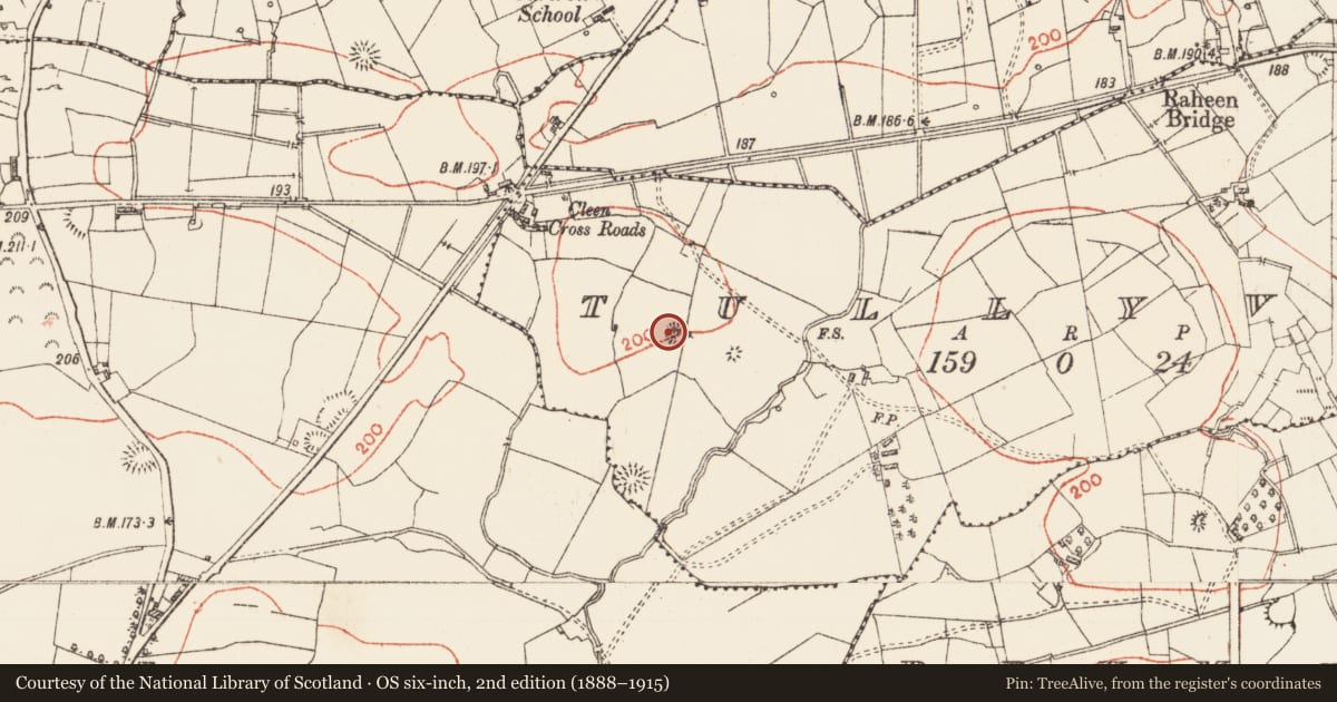 Ordnance Survey six-inch map, 2nd edition (1888–1915) covering the location of Earthwork, Tullyval, County Roscommon, with a pin at the register's coordinates