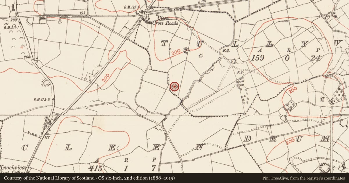 Ordnance Survey six-inch map, 2nd edition (1888–1915) covering the location of Standing stone, Tullyval, County Roscommon, with a pin at the register's coordinates