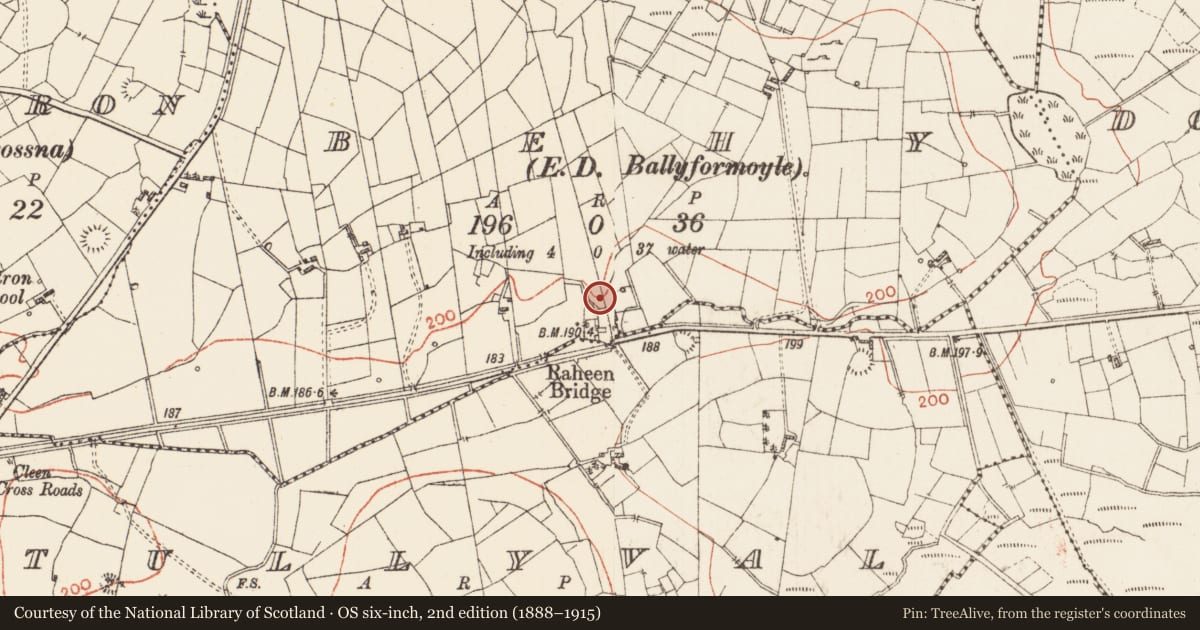 Ordnance Survey six-inch map, 2nd edition (1888–1915) covering the location of Ringfort - rath, Behy, County Roscommon, with a pin at the register's coordinates