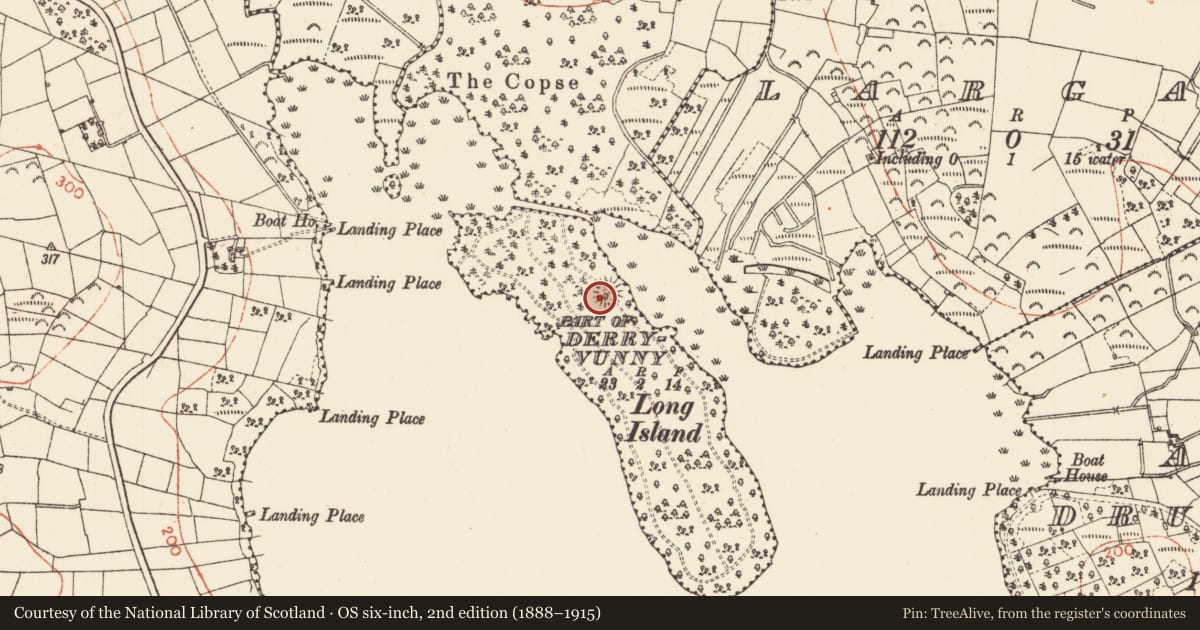 Ordnance Survey six-inch map, 2nd edition (1888–1915) covering the location of Ringfort - rath, Derryvunny (Detached portion), County Roscommon, with a pin at the register's coordinates