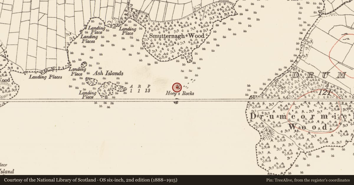 Ordnance Survey six-inch map, 2nd edition (1888–1915) covering the location of Crannog, Lough Key, County Roscommon, with a pin at the register's coordinates