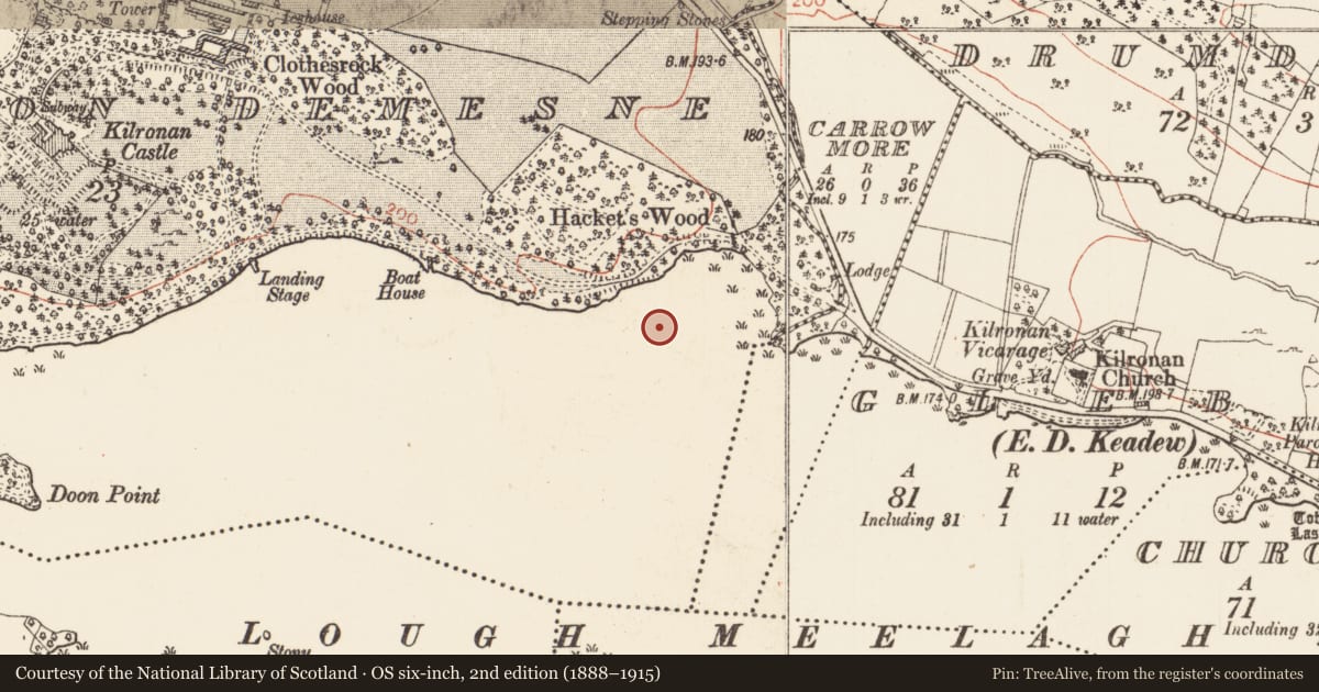 Ordnance Survey six-inch map, 2nd edition (1888–1915) covering the location of Crannog, Castletenison Demesne, County Roscommon, with a pin at the register's coordinates
