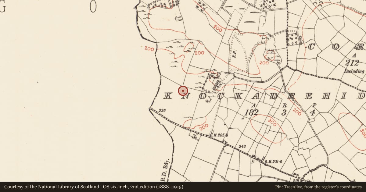 Ordnance Survey six-inch map, 2nd edition (1888–1915) covering the location of Barrow - mound barrow, Knockadrehid, County Roscommon, with a pin at the register's coordinates