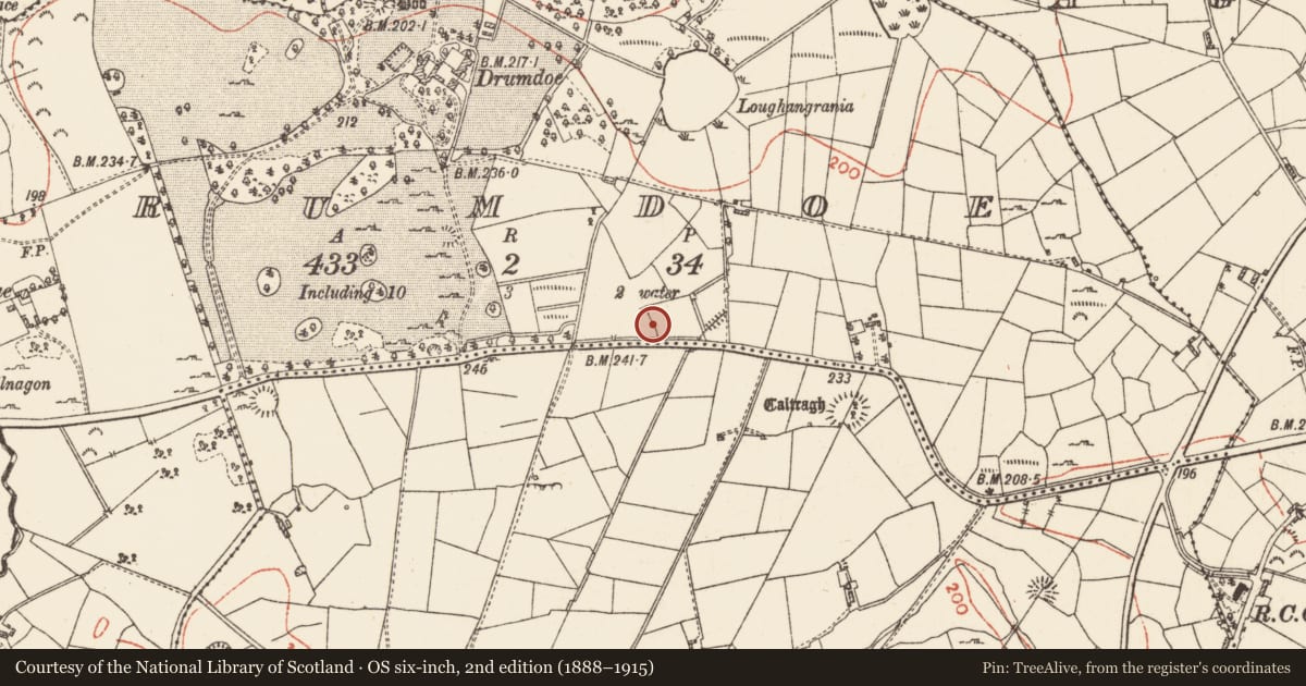 Ordnance Survey six-inch map, 2nd edition (1888–1915) covering the location of Fulacht fia, Drumdoe, County Roscommon, with a pin at the register's coordinates