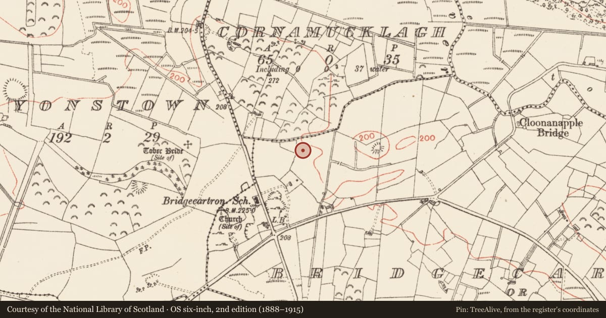 Ordnance Survey six-inch map, 2nd edition (1888–1915) covering the location of Megalithic tomb - court tomb, Bridgecartron Or Derrycashel, County Roscommon, with a pin at the register's coordinates