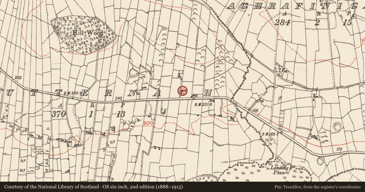Ordnance Survey six-inch map, 2nd edition (1888–1915) covering the location of Inscribed stone (present location), Smutternagh, County Roscommon, with a pin at the register's coordinates