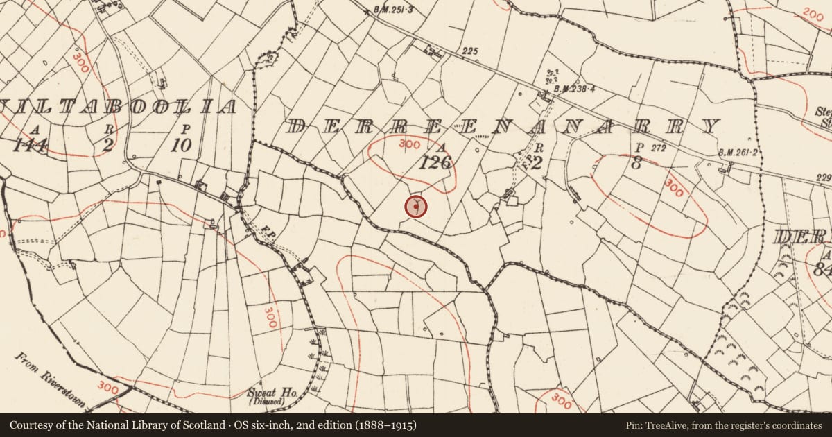 Ordnance Survey six-inch map, 2nd edition (1888–1915) covering the location of Rock scribing - folk art, Derreenanarry, County Roscommon, with a pin at the register's coordinates