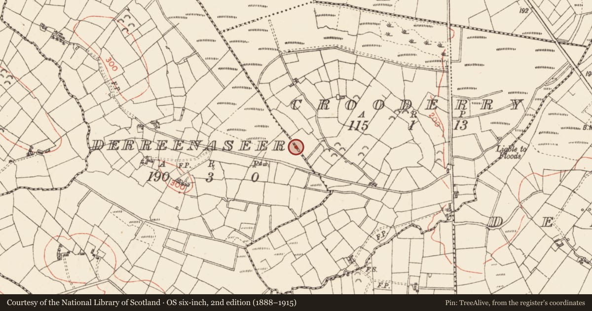Ordnance Survey six-inch map, 2nd edition (1888–1915) covering the location of Structure - peatland, Crooderry, County Roscommon, with a pin at the register's coordinates