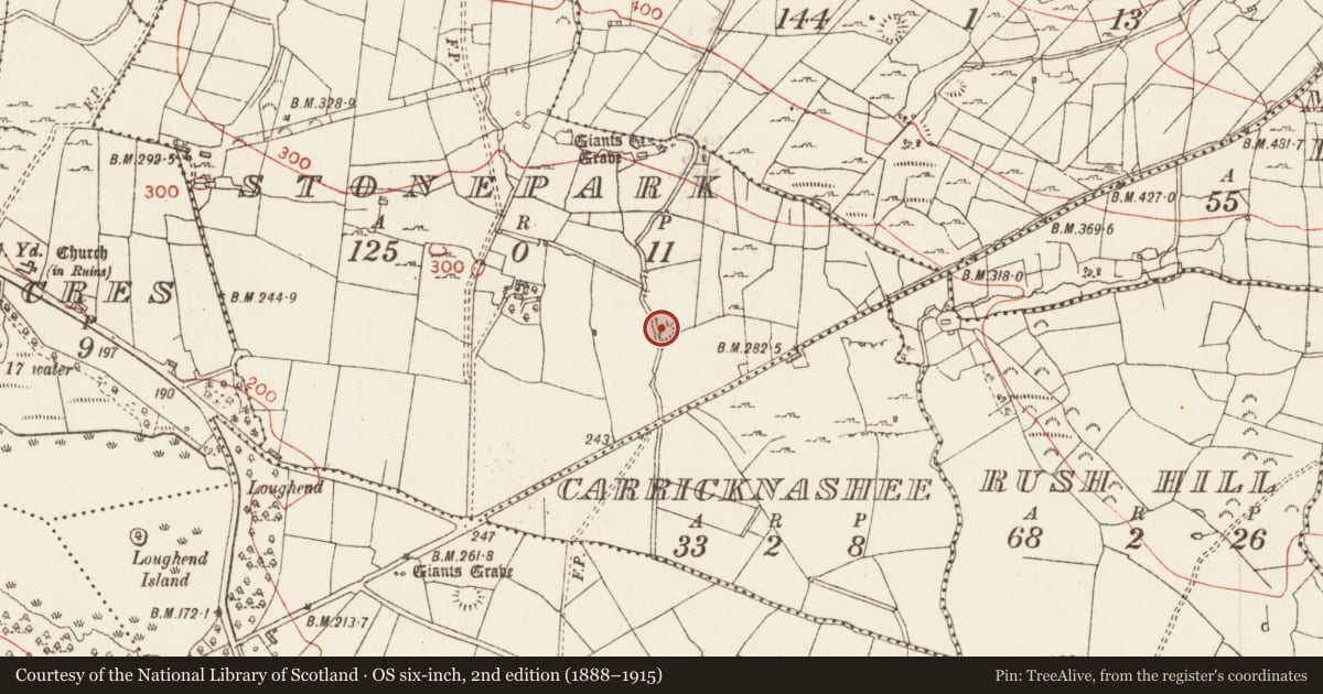 Ordnance Survey six-inch map, 2nd edition (1888–1915) covering the location of Mound, Stonepark, County Roscommon, with a pin at the register's coordinates