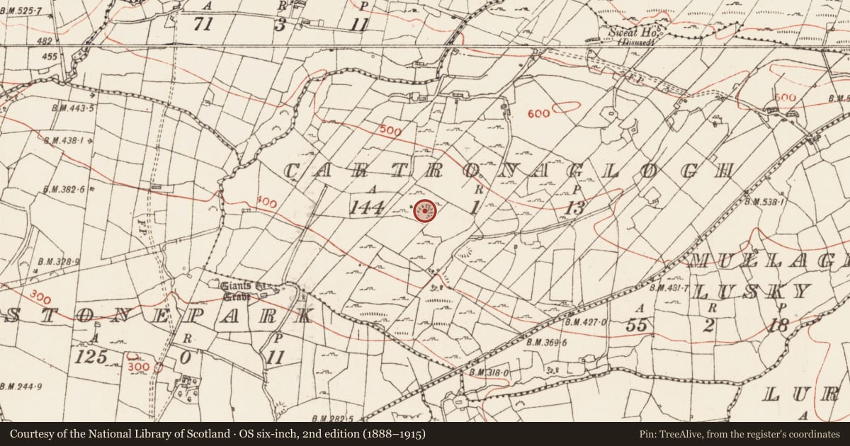Ordnance Survey six-inch map, 2nd edition (1888–1915) covering the location of Ringfort - rath, Cartronaglogh, County Roscommon, with a pin at the register's coordinates